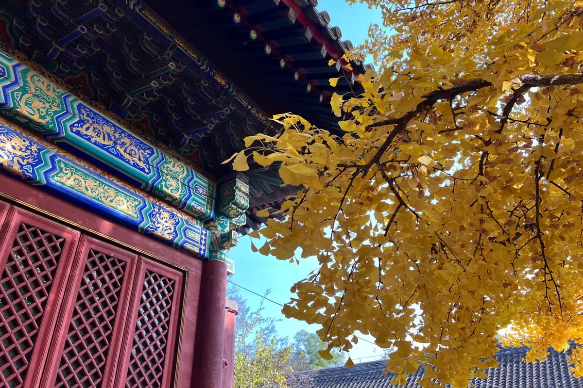 不丹
