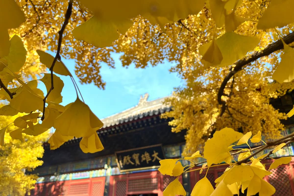 Baotou Taxi: Baotou Taxi Fares, Tips and Phones