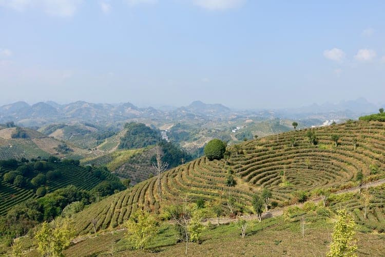Wuyishan