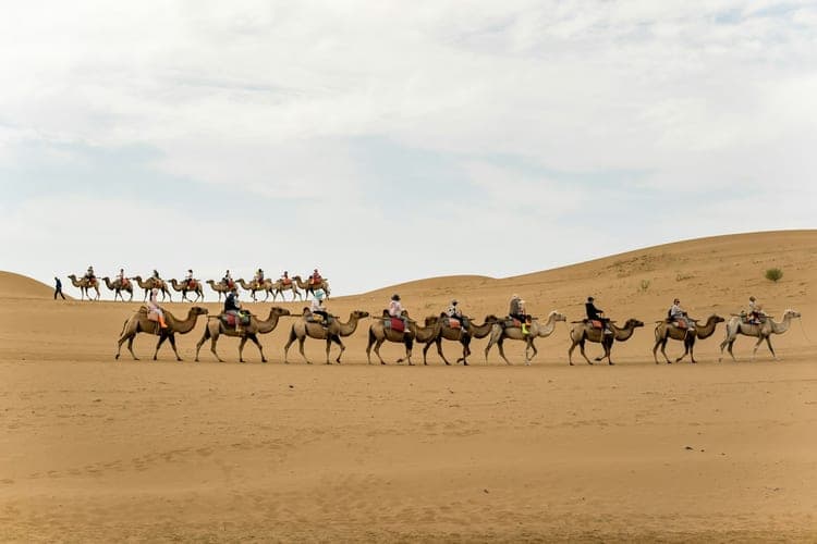 Yinchuan