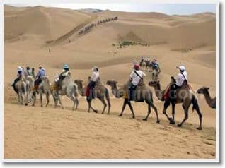Day 02 - Gegentala Grassland - Hohhot by road ( B L ) 4