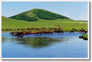 Beijing Chifeng 4 Day Round Trip Tour