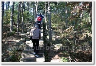 Beijing Huangshan High Speed Train Tour