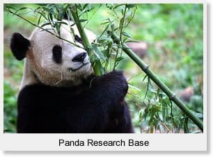 14-Day Lijiang - Yunnan - Sichuan Private Tour