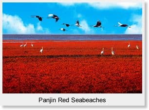 Northeast China 6 Day Scenic Tour