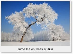 Day 03 - Jilin CHangchun ( 40-minute highspeed train )