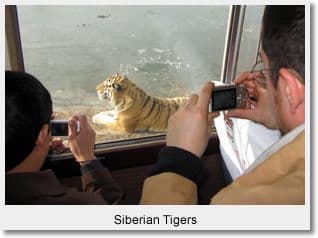 Beijing Harbin 4 Day Winter Tour by High-speed Train