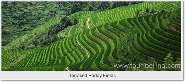 Day 02 - Guilin Longji Rice Terraces Guilin 2