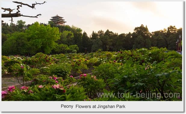 Beijing Spring 4 Day Tour Package