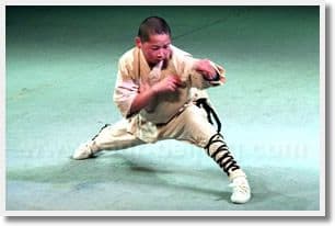 Day 02 - Luoyang - Shaolin - Luoyang by road ( B L )
