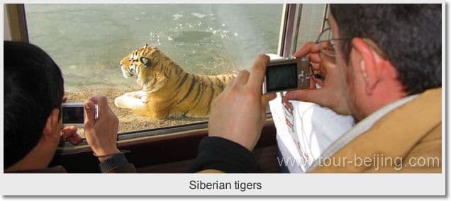 Day 01 - Arrival in Harbin 3