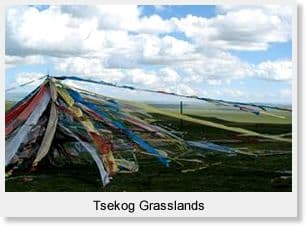 Day 05 - Tsekog 2