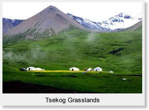 Day 05 - Tsekog