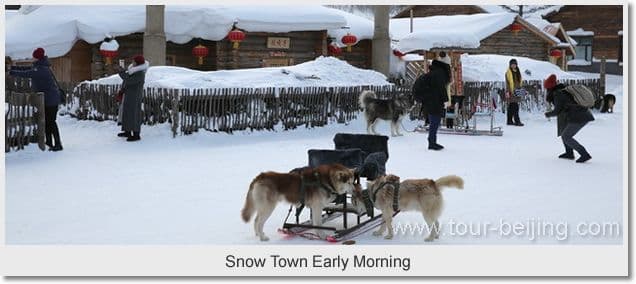 Day 03 - Snow Town Harbin （5.5 hours）