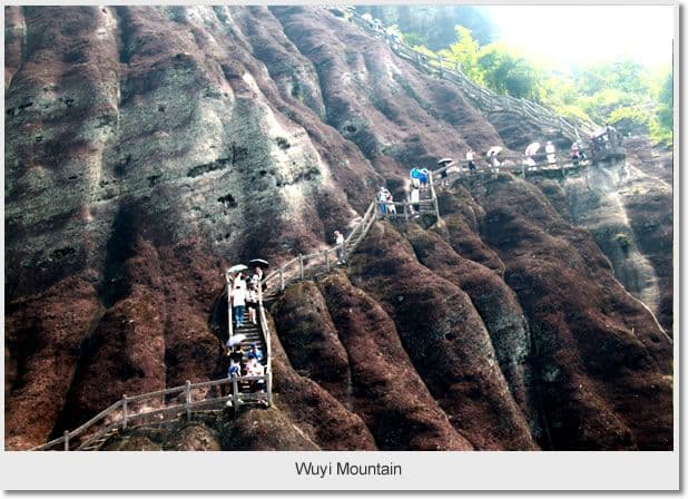 Day 01 - Arrival at Wuyi Mountain