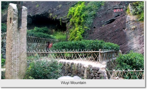 Day 01 - Arrival at Wuyi Mountains ( L )