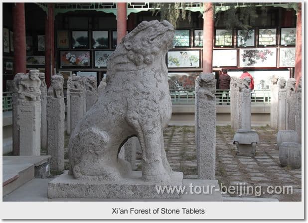 Beijing Xian 3 Day Tour
