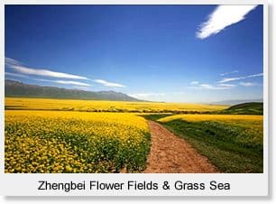 Beijing Zhangjiakou Grassland 2 Day Tour