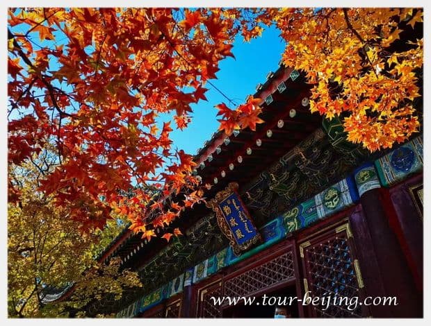 Beijing in November Travel Guide (Weather, Wear, Events & Tips)