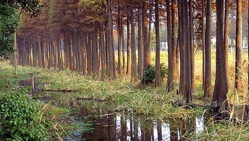 Autumn Scenery at Dianshan Lake