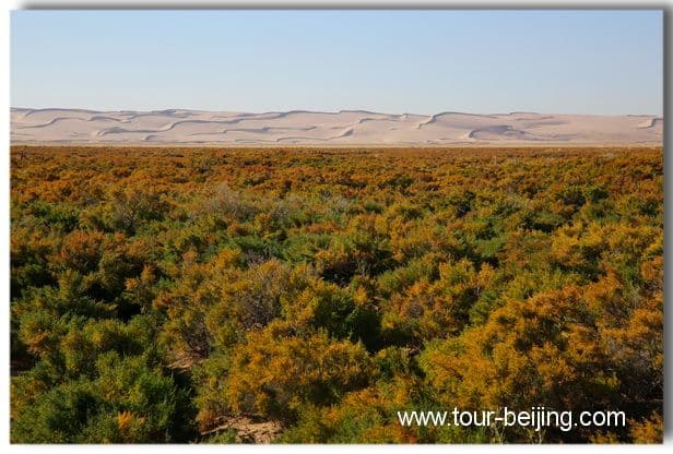 Badain Jaran Desert (Tips, Photos & Map)
