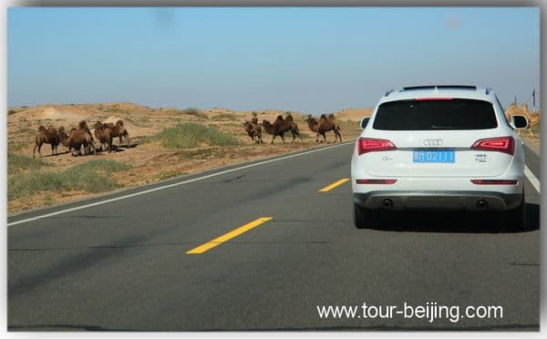 Badain Jaran Desert (Tips, Photos & Map)