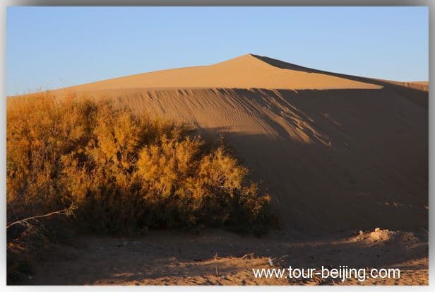 Badain Jaran Desert (Tips, Photos & Map)