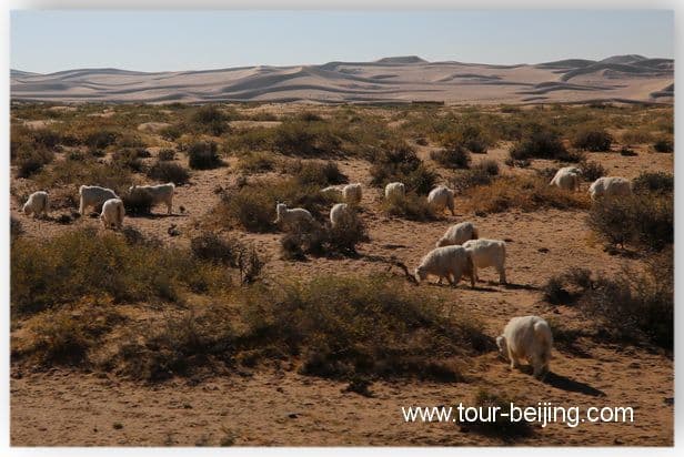 Badain Jaran Desert (Tips, Photos & Map)