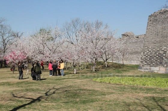 Ming Dynasty Wall Relics Park Beijing