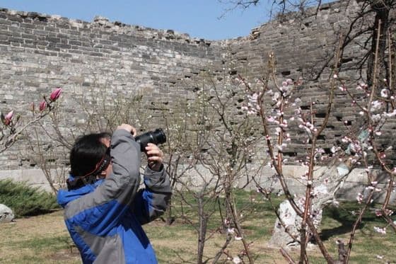 Ming Dynasty Wall Relics Park Beijing