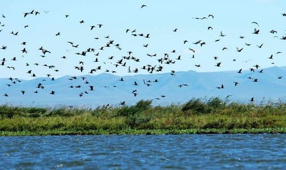 Dalinur Lake (Tips, Photos & Map)