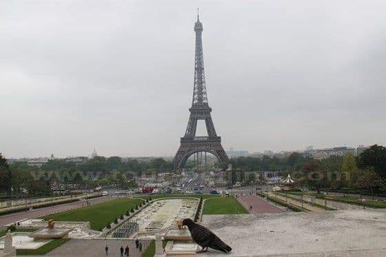 Some similarities and differences between Paris and Shanghai