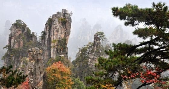 Day 05 - Wulingyuan Scenic Area