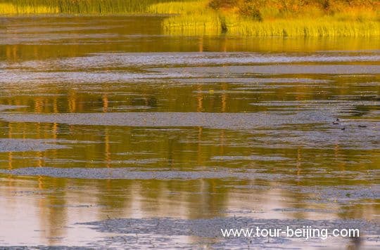 5 Day Chengdu Jiuzhaigou Huanglong Tour