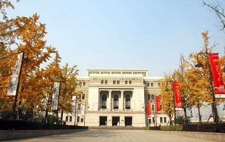 Ginkgo Trees at Shanghai Concert Hall
