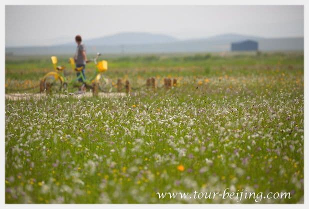 Jinlianchuan Grassland (Tips & Photos)