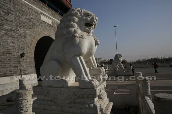Look at the two lions of marble carving.