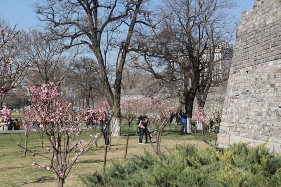 Ming Dynasty Wall Relics Park Beijing