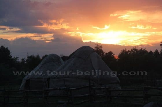 Narat Grassland  in Xinjiang