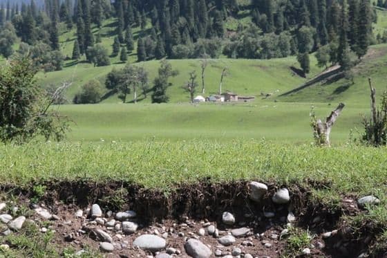 Narat Grassland  in Xinjiang