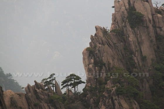 My Second Day on Mount Huangshan (2)