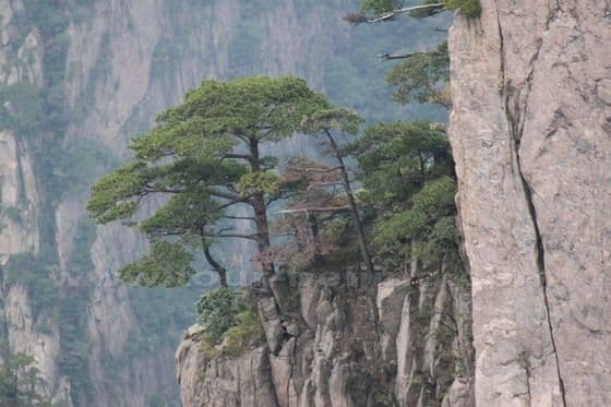 My Second Day on Mount Huangshan (2)