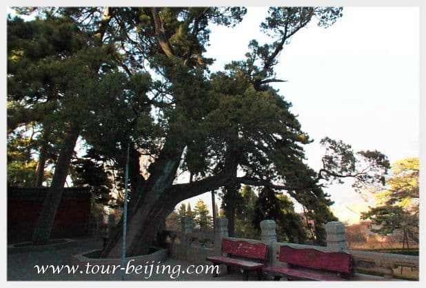 Jietai Temple (Tips, Photos & Map)
