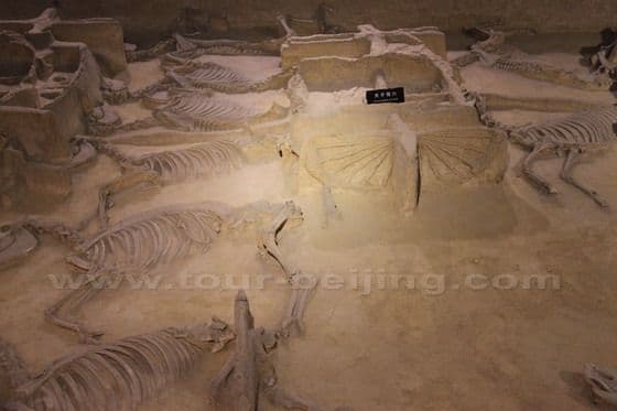 Top 10 Attractions in Luoyang (Maps,Tips and Photos)