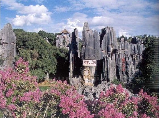 Kunming 3 Day Tour