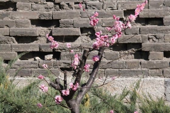 Ming Dynasty Wall Relics Park Beijing