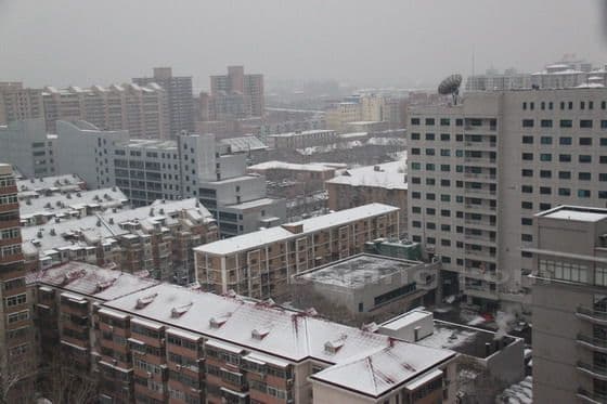 The snow lightly coated buildings