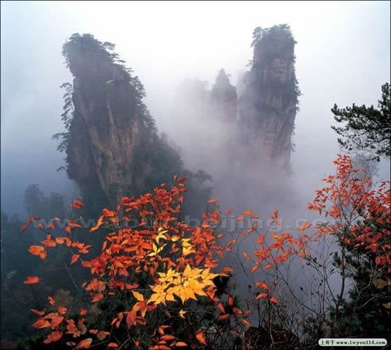 Yangjiajie Nature Reserve