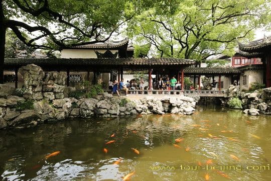 Day 09 - Xian Shanghai
