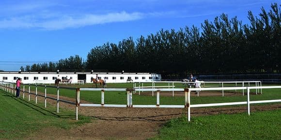 Equestrian Clubs in Beijing (Tips, Photos）
